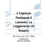 科尔托解析李斯特三首音乐会练习曲 HL.50399300