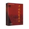 中国琵琶通史， 庄永平编著